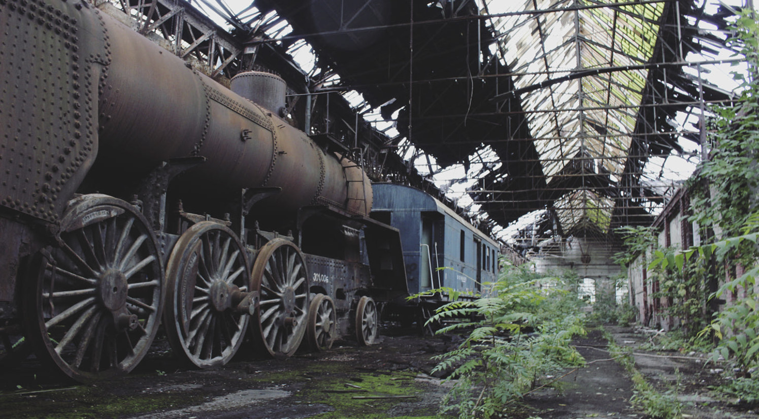 Red Star abandoned trains